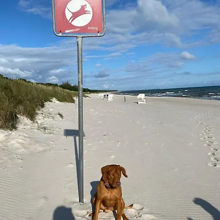 Meerzeit Apartment Zingst